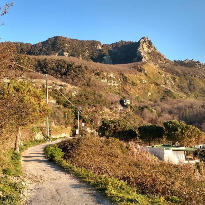 Villa Thomas Bb Conduzione Familiare Forio di Ischia Exterior foto