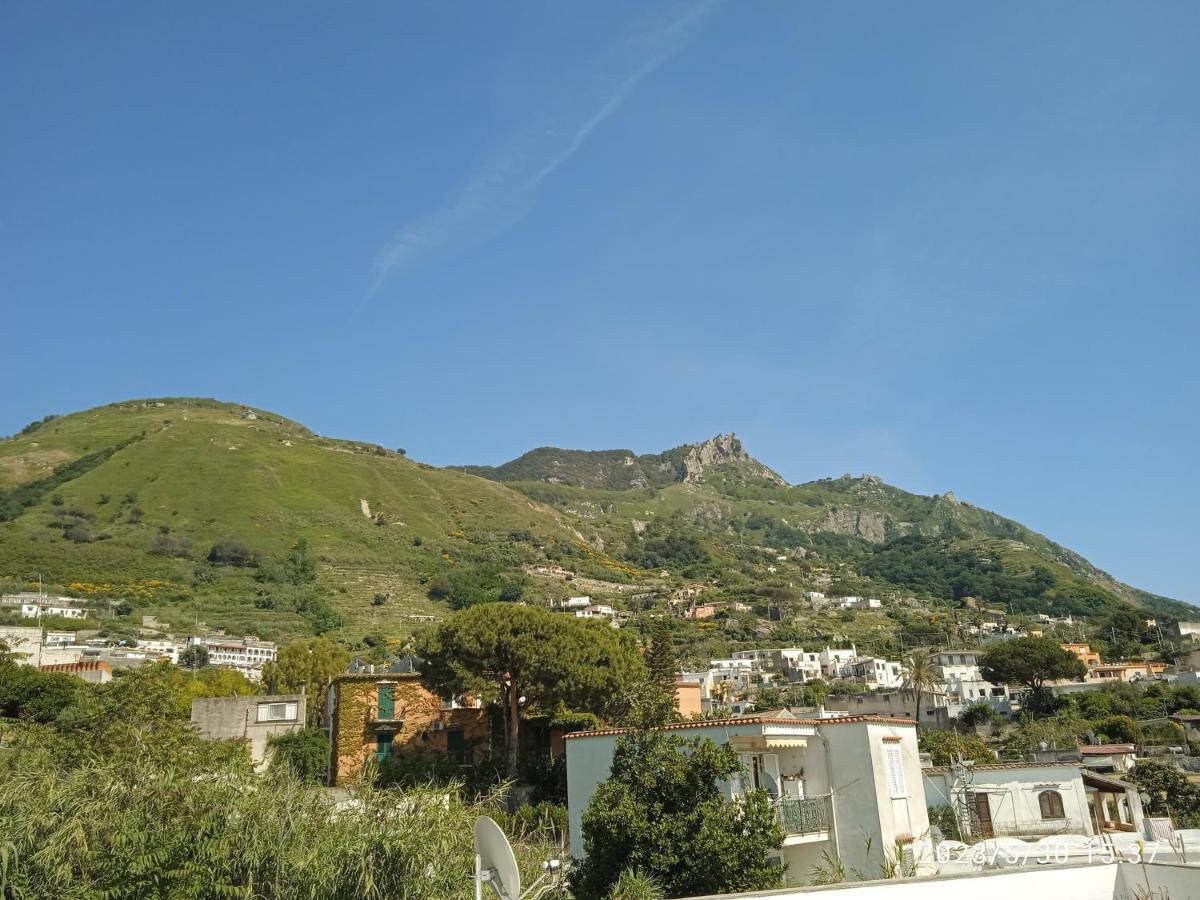 Villa Thomas Bb Conduzione Familiare Forio di Ischia Exterior foto