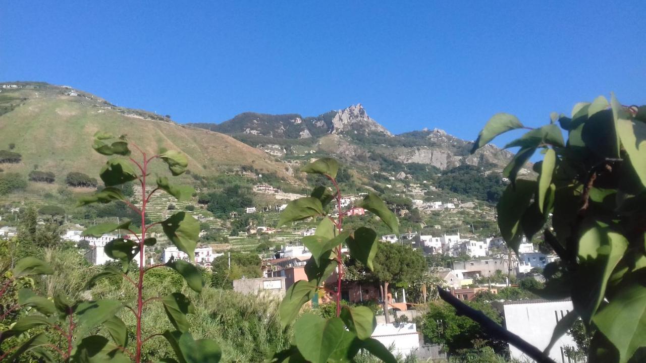Villa Thomas Bb Conduzione Familiare Forio di Ischia Exterior foto
