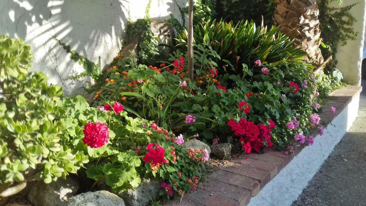 Villa Thomas Bb Conduzione Familiare Forio di Ischia Exterior foto